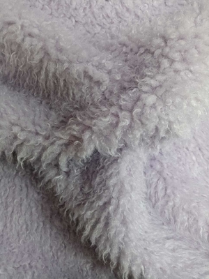 Warp Knitted Curly Plush Fabric Is Soft And Comfortable, 100% Polyester