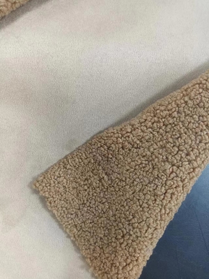 760gsm Knitted Teddy curly plush fabric composite suede with the same color