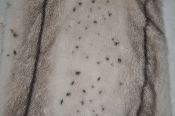 100% Polyester Tuscany Fabric 170CM CW Or Adjustable Width 675gsm