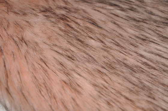 Pink Long plush fabric:，100% AC or with mAC Make your space instantly warm and inviting