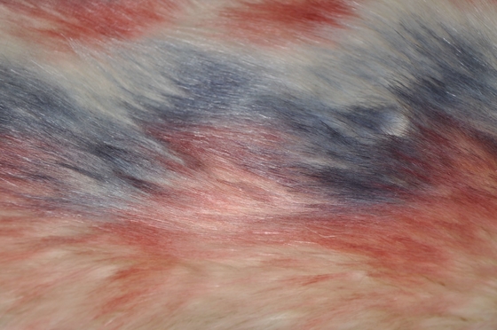 Gradient three colors Long Hair Fur Fabric 150cm Fake Fox，Provide ultimate warmth and comfort for winter home decor