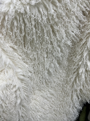 White Persian Wool Curly And Unique High End Clothing Selection