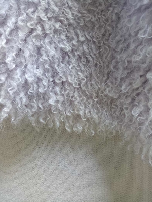 Warp Knitted Curly Plush Fabric Is Soft And Comfortable, 100% Polyester