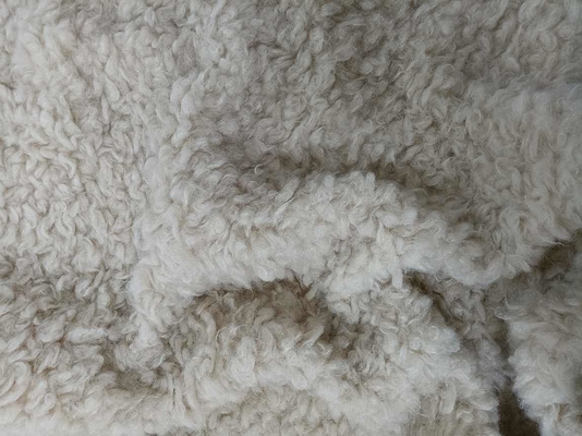 Curled Warp Knitted Soft Plush 380gsm 100% P