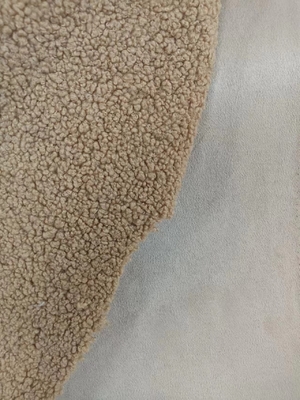 760gsm Knitted Teddy curly plush fabric composite suede with the same color